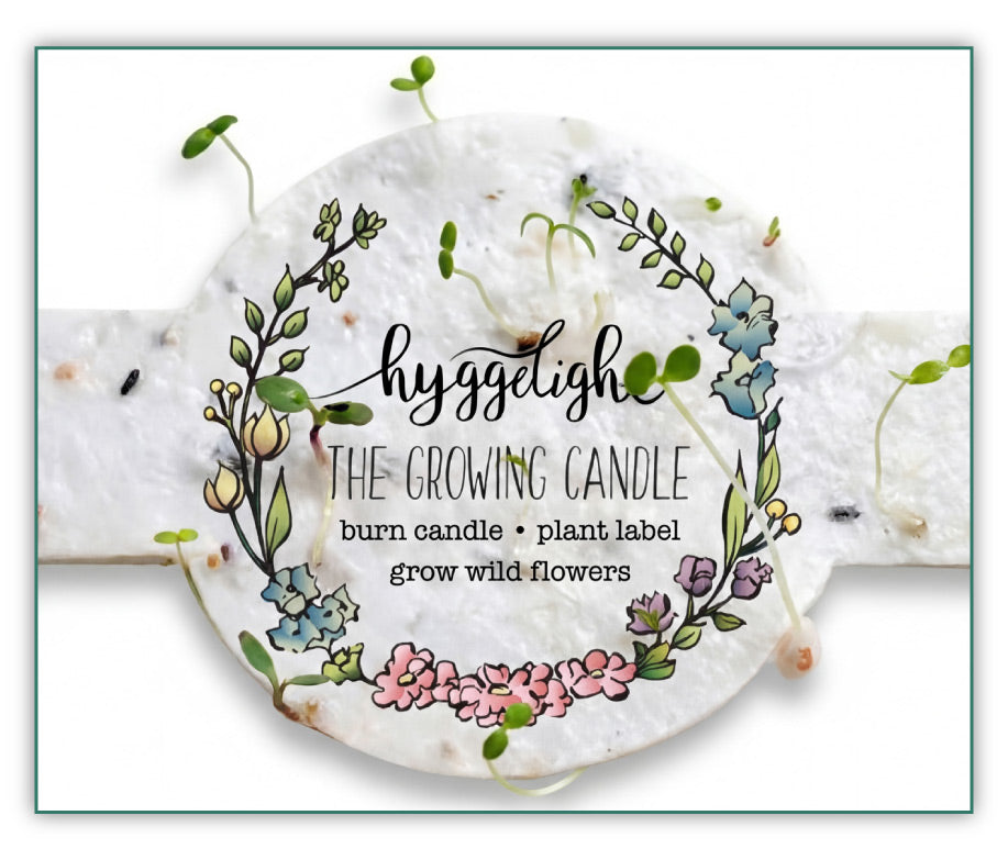 Hyggelight-Seed-label-banner