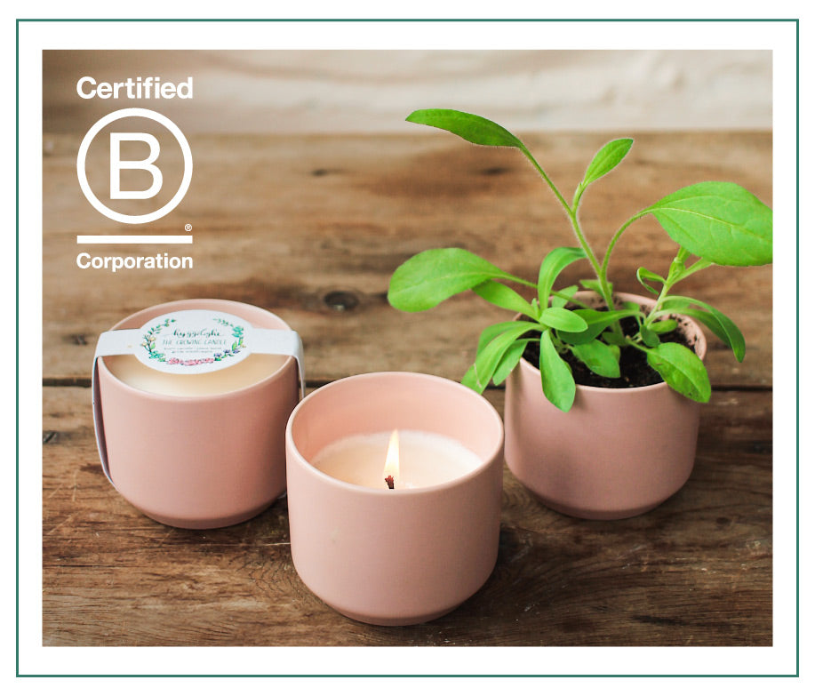 Hyggelight-Retail-Website-Homepage-B-Corp-Image