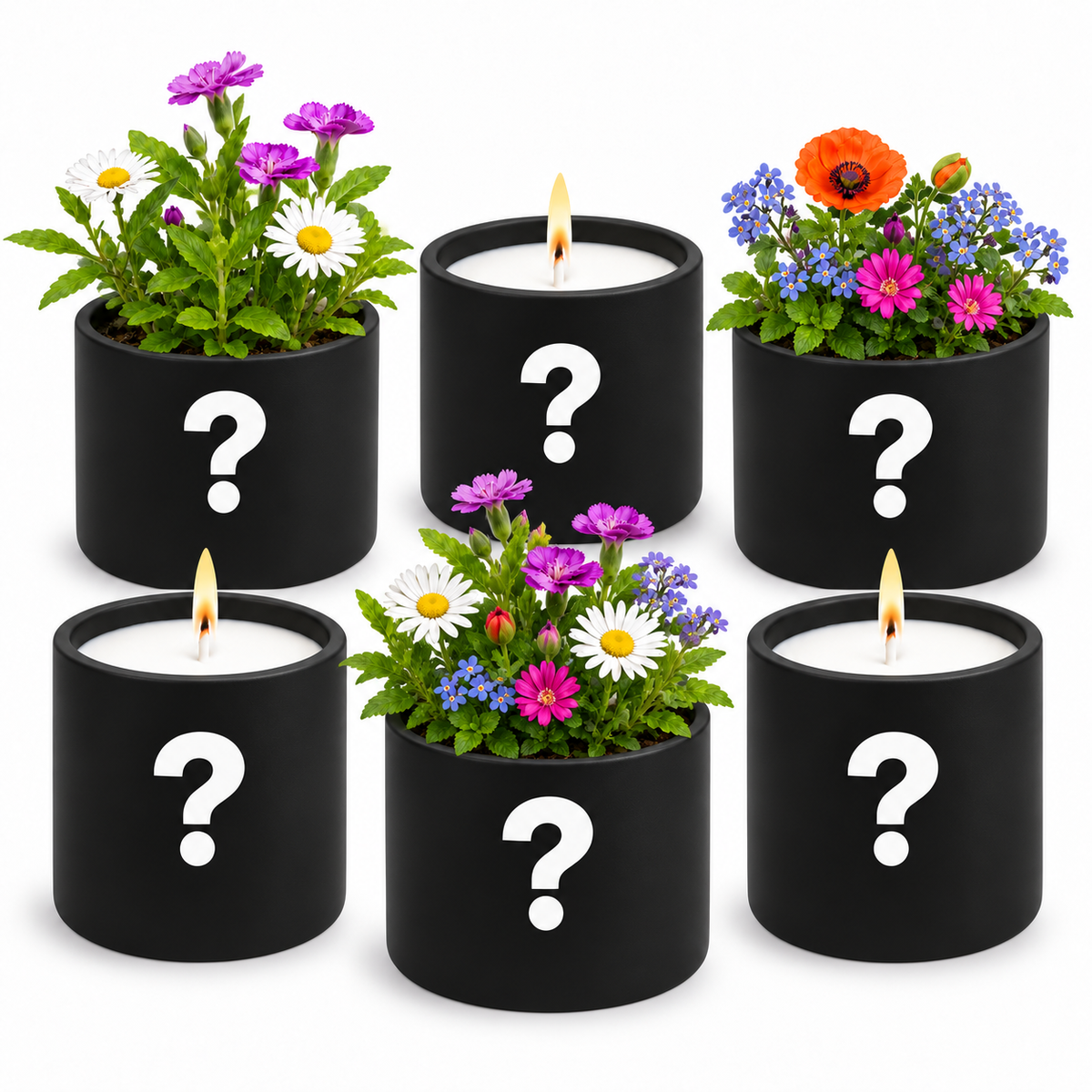 Mystery Box (6 candles) + Free Shipping