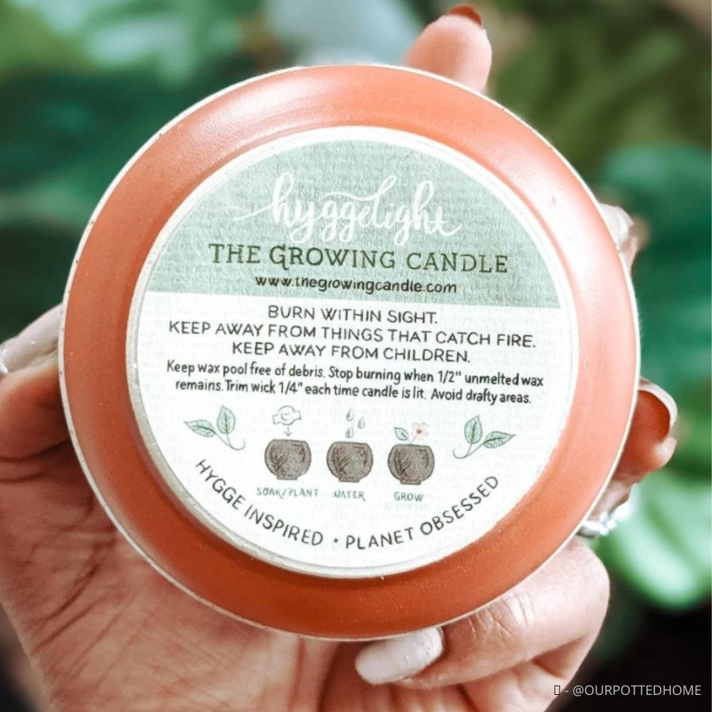 Mystery Box (4 candles) + Free Shipping