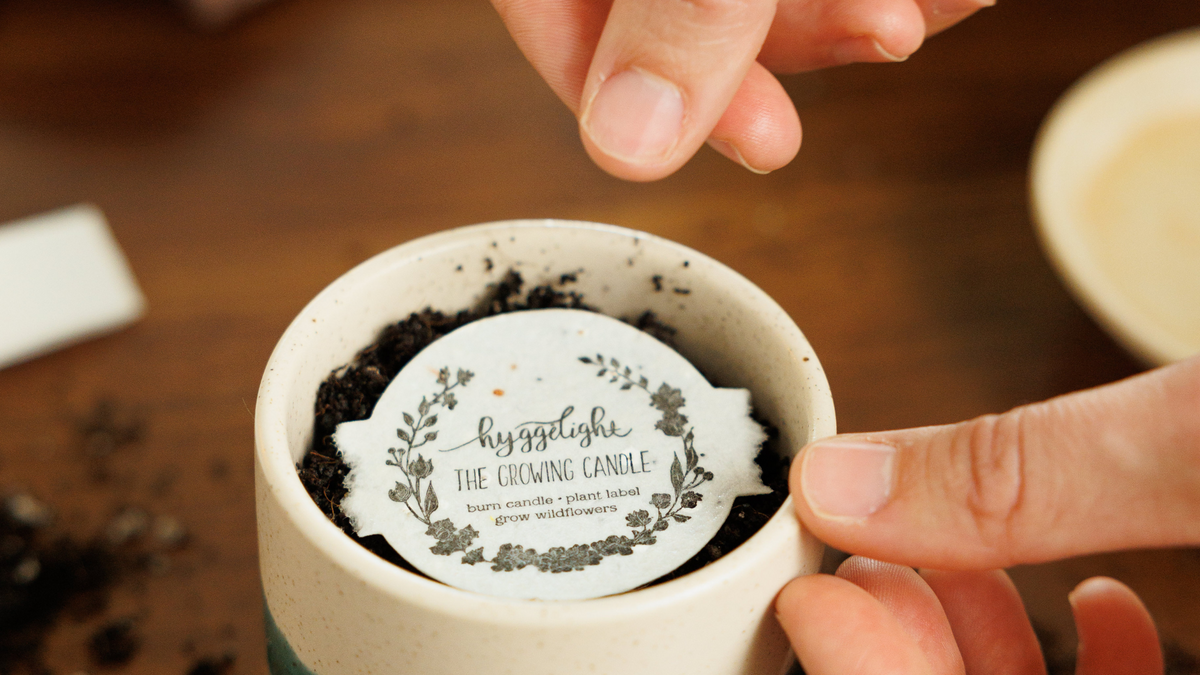Sprouting Seed Label How-To | Planting Your Seed-Label – Hyggelight | The Growing Candle