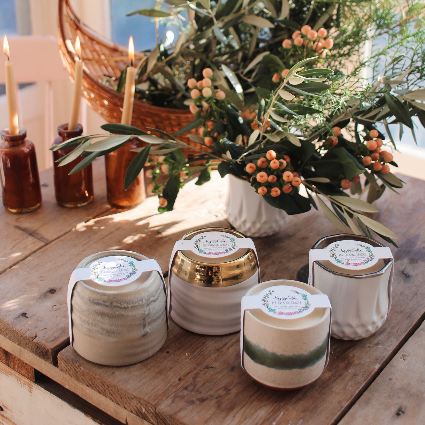 Cozy Christmas Signature 4 Pack