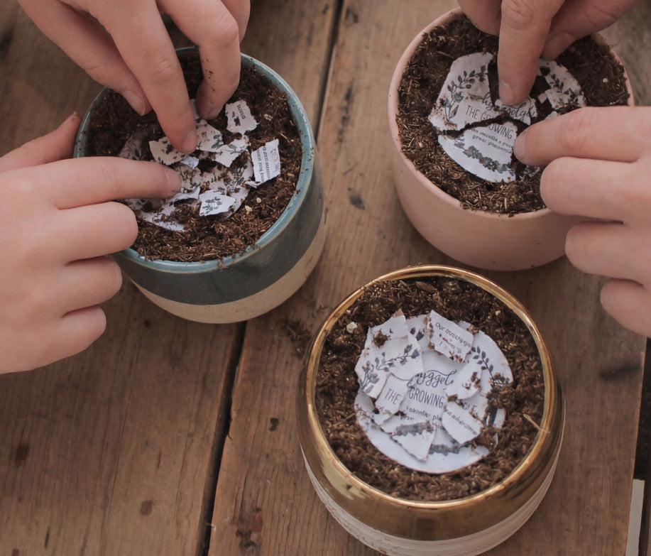 Three small potted plants on a wooden surface with hands interacting with them.