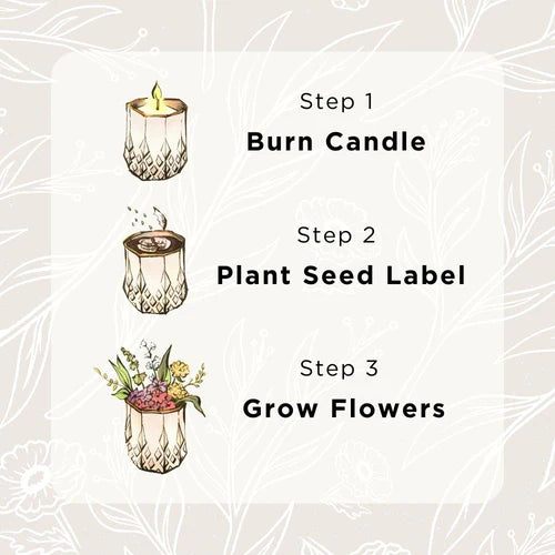 Best-Sellers 3 Candle Bundle