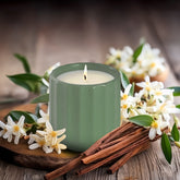 Hyggelight-Alexis-Moss-06-Swatch-Scent-Sandalwood-Vanilla