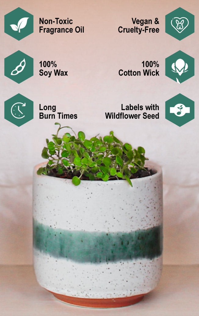 Hyggelight-Retail-Website-Homepage-After-Banner-Mobile