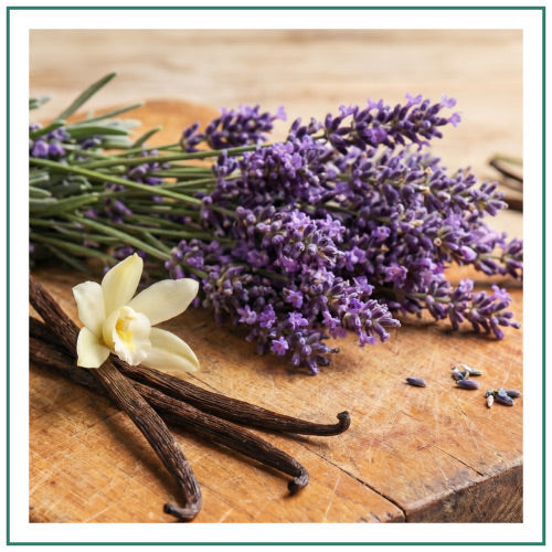 Hyggelight-Retail-Website-Homepage-Banners-Scent-Square-Lavender