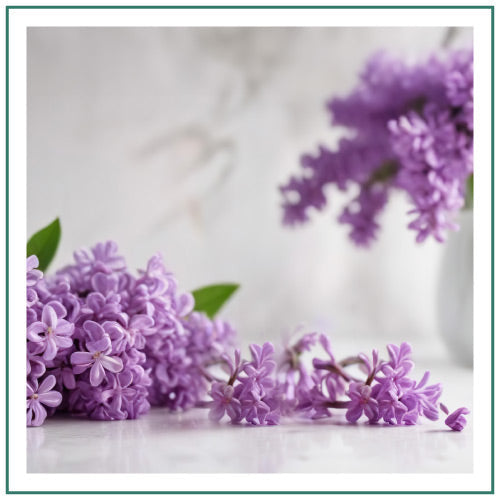 Hyggelight-Retail-Website-Homepage-Banners-Scent-Square-Lilac