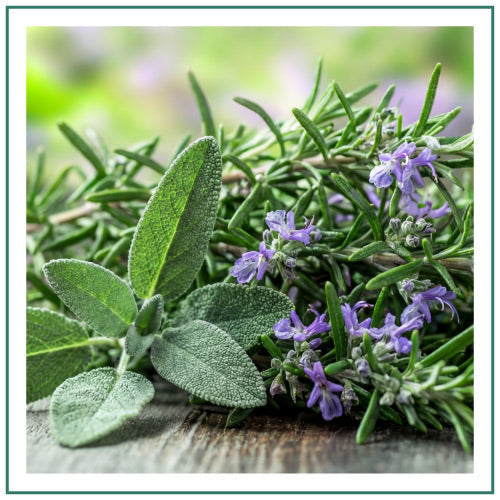 Hyggelight-Retail-Website-Homepage-Banners-Scent-Square-Rosemary-and-Sage