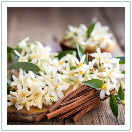 Hyggelight-Retail-Website-Homepage-Banners-Scent-Square-Sandalwood-and-Vanilla