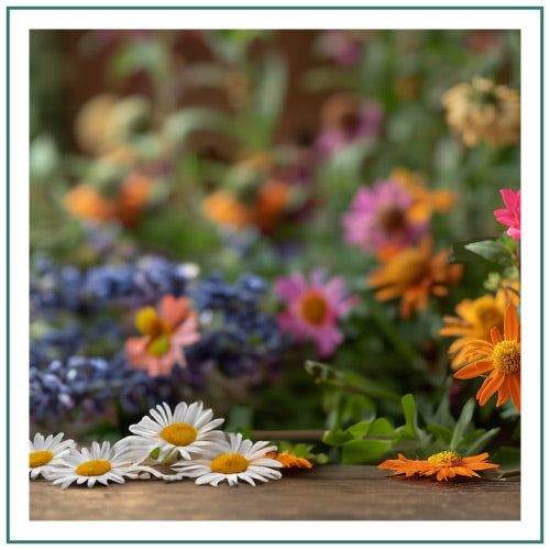 Hyggelight-Retail-Website-Homepage-Banners-Scent-Square-Wildflowers