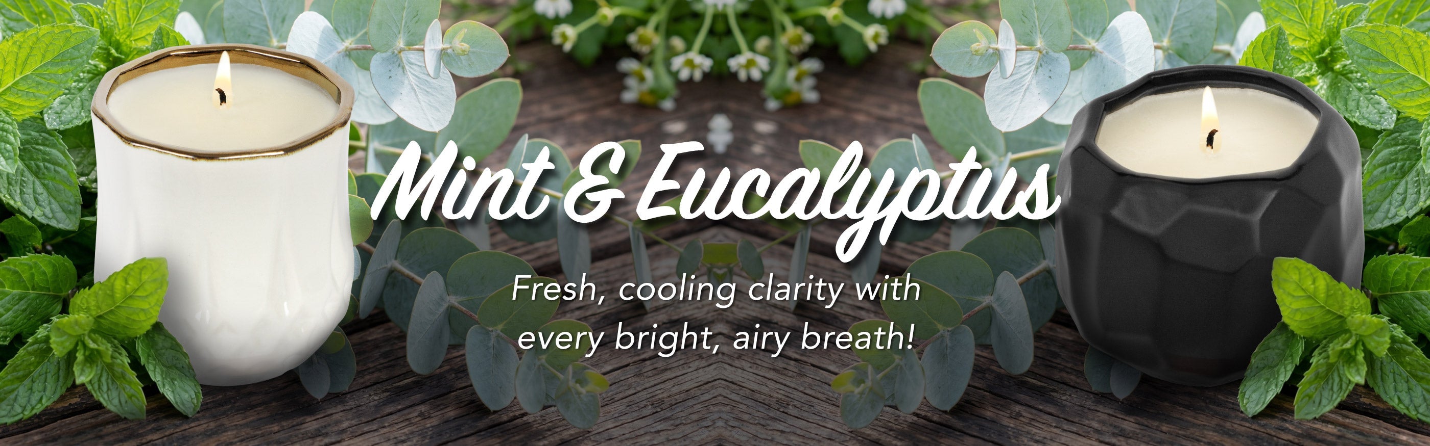 Hyggelight-Retail-Website-Mint-and-Eucalyptus-Banner