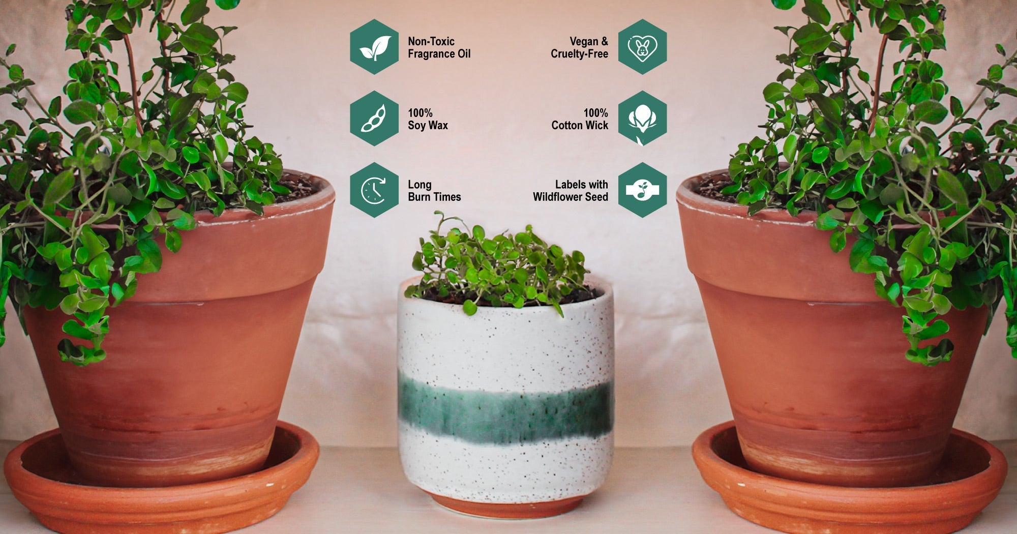 Hyggelight-Retail-Website-PDP-Edith-Plant-Grow