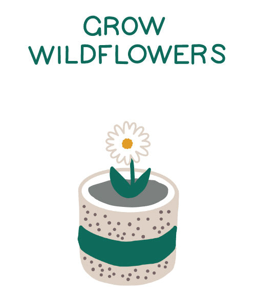 Hyggelight-Wildflowers-Icon