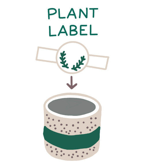 Hyggelight-Seed-Plant-Label-Icon