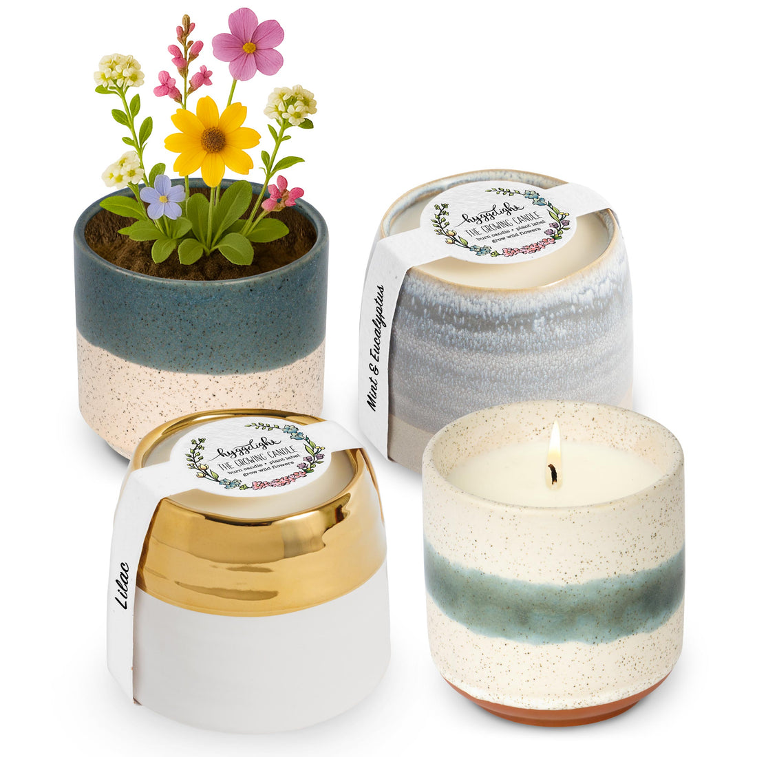 Sandalwood &amp; Vanilla