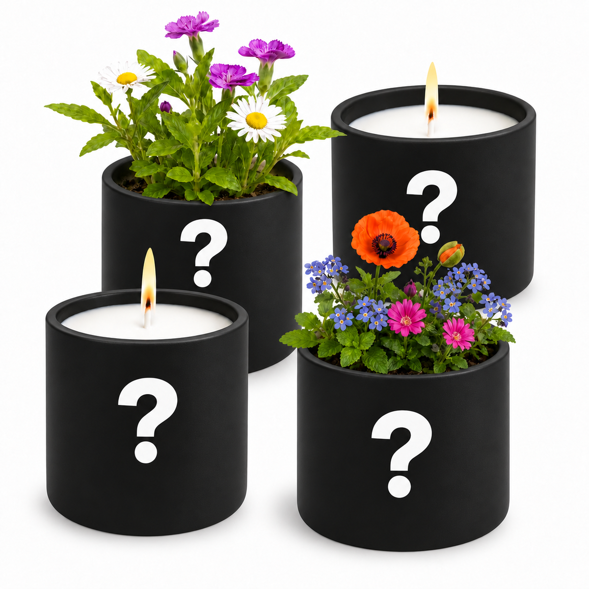 Mystery Box (4 candles) + Free Shipping