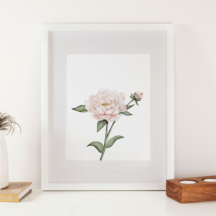 Peony + Bud Watercolor Print