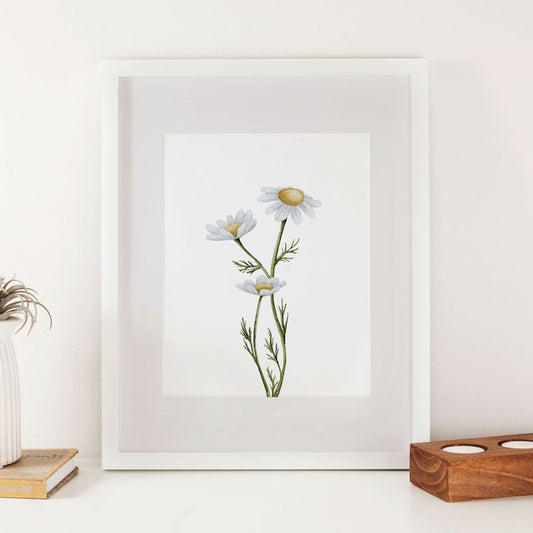 White Daisies Watercolor Print